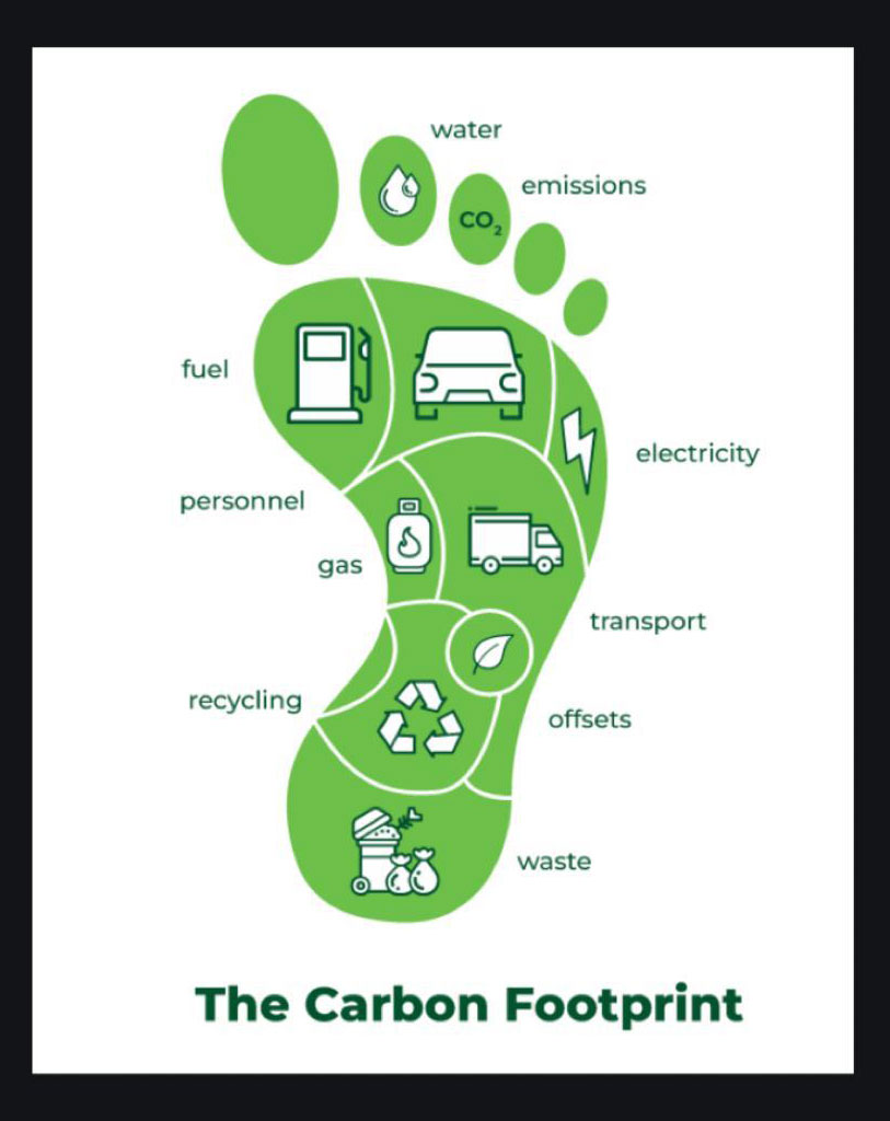 Monetize Your Carbon Footprint and Get Rewarded for Sustainability
